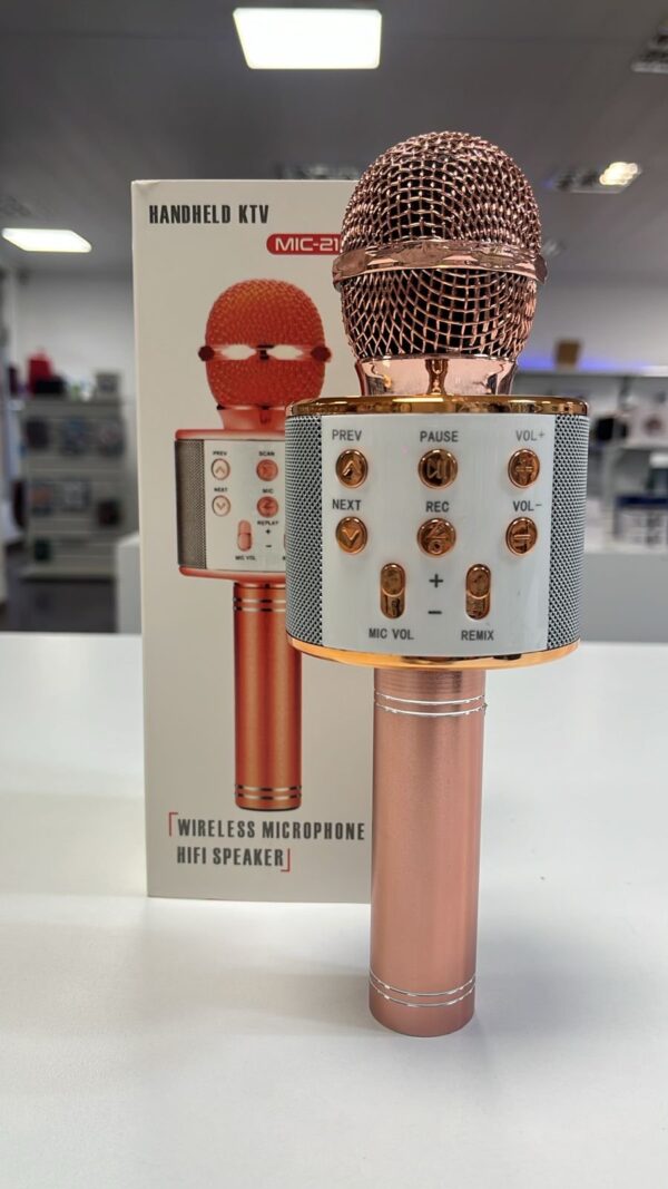 MICROFONO KARAOKE WS-858/KA-5796/MIC-21003
