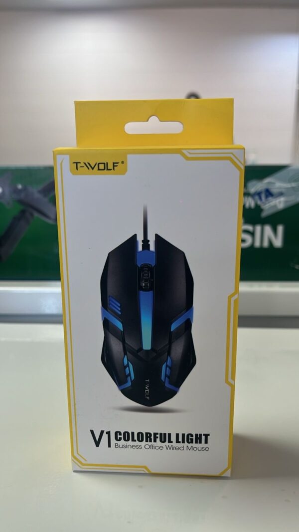 MOUSE V1